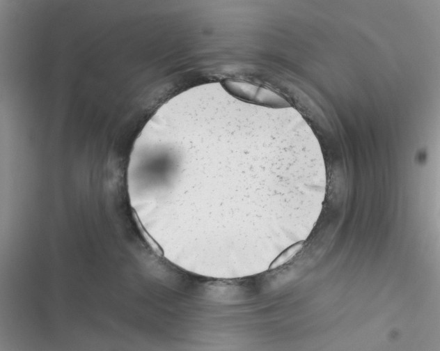 X0000116620284201001221346