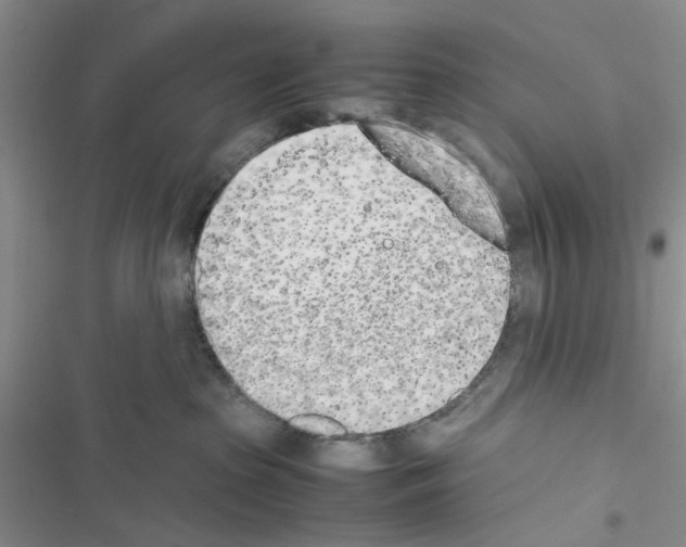 X0000116620285201001221346