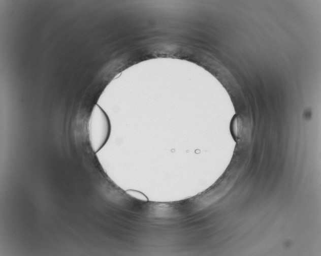 X0000116620287201001221346