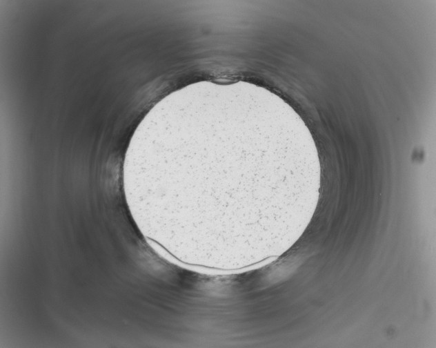 X0000116620288201001221346