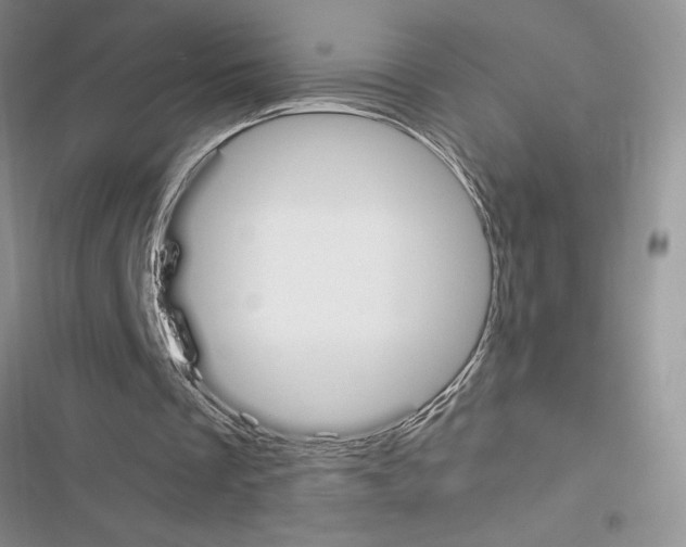 X0000116620289201001221345