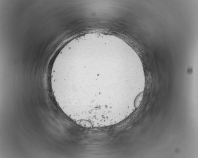 X0000116620290201001221345