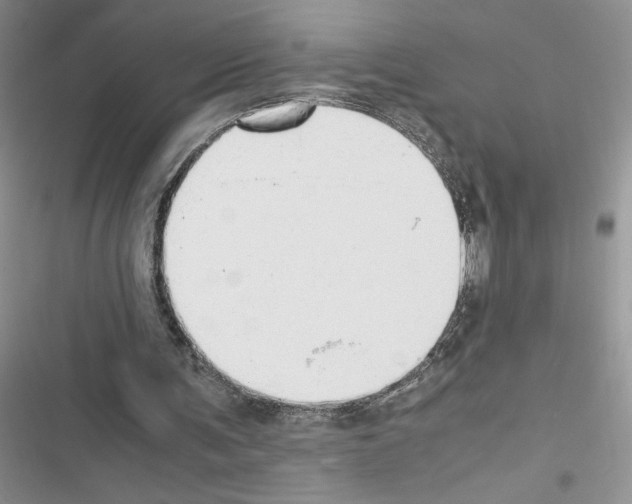 X0000116620291201001221345