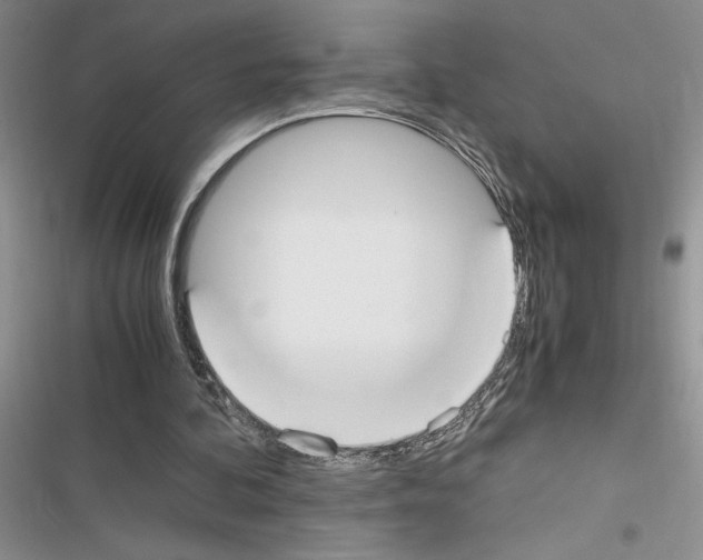 X0000116620292201001221345