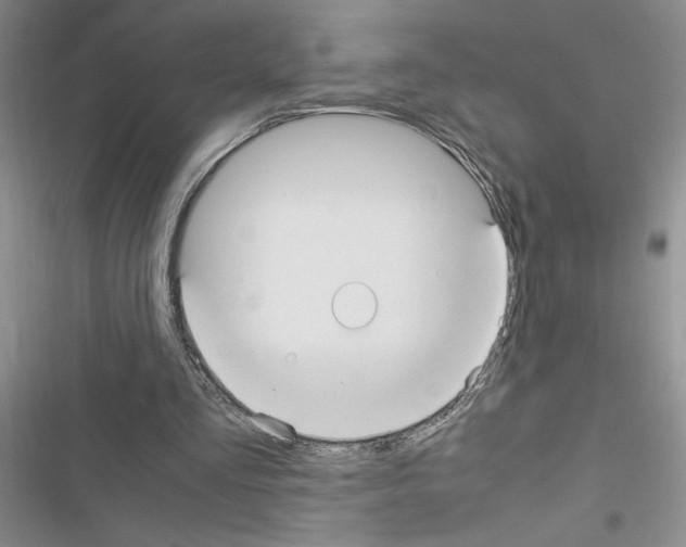 X0000116620293201001221345