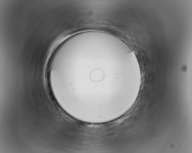 X0000116620294201001221345