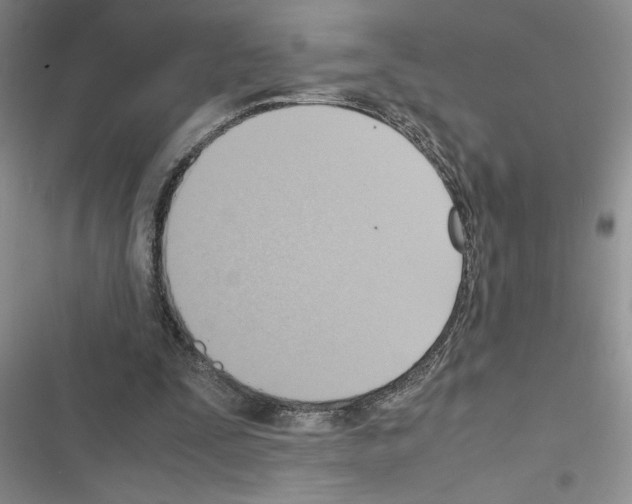 X0000116620295201001221345