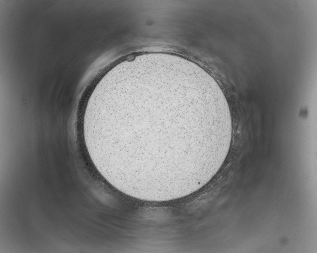 X0000116620296201001221345