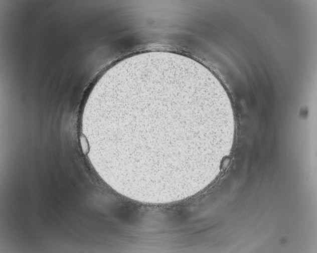 X0000116620297201001221345