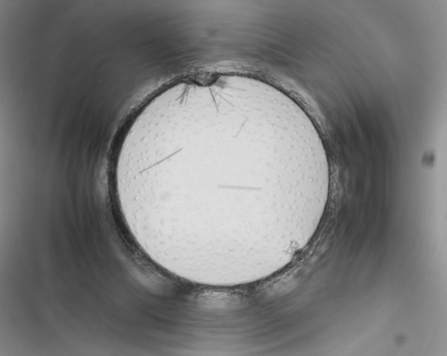 X0000116620298201001221345