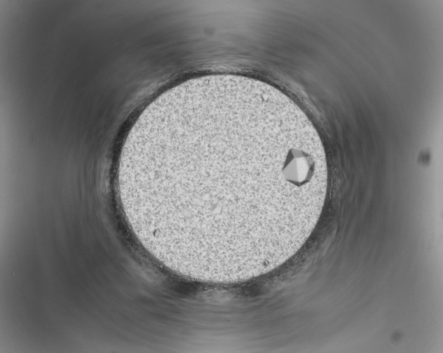 X0000116620299201001221345