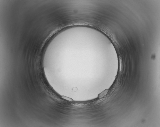 X0000116620300201001221345