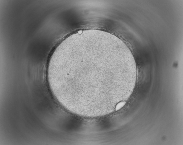 X0000116620301201001221345