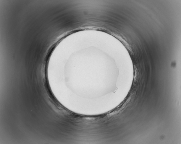 X0000116620302201001221345