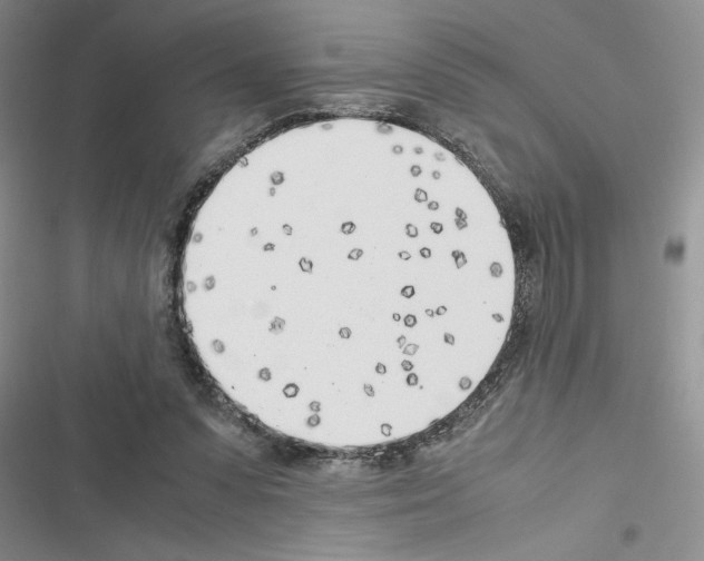 X0000116620303201001221345