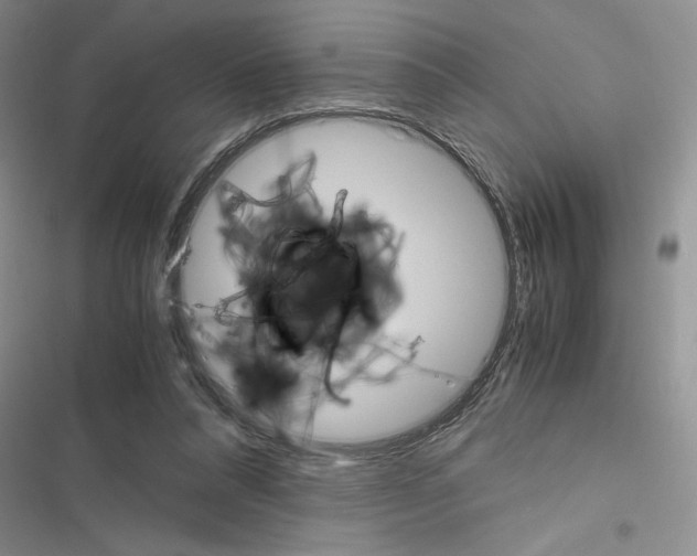 X0000116620304201001221345