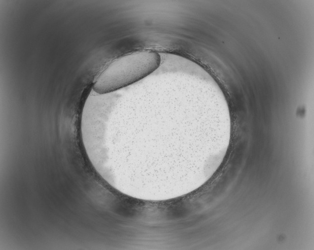 X0000116620305201001221345
