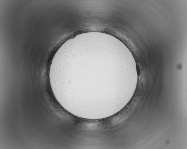 X0000116620306201001221345