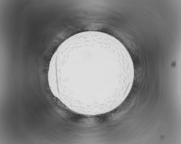 X0000116620307201001221345