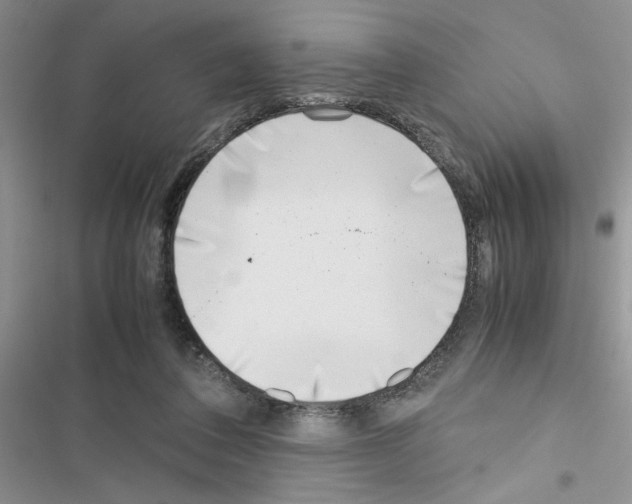 X0000116620308201001221345