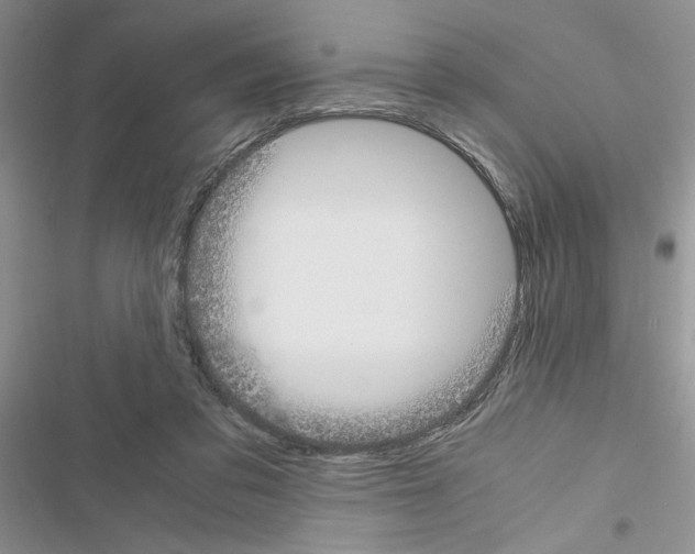 X0000116620309201001221345