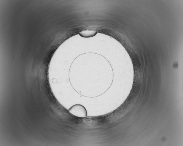 X0000116620311201001221345