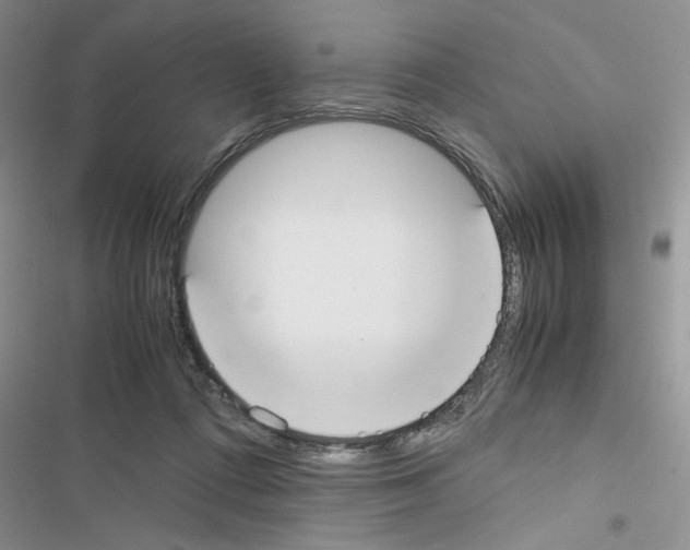 X0000116620312201001221345