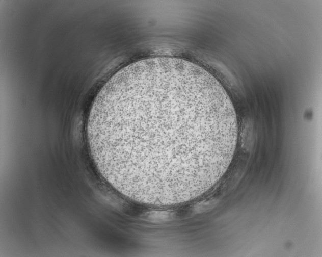 X0000116620314201001221345