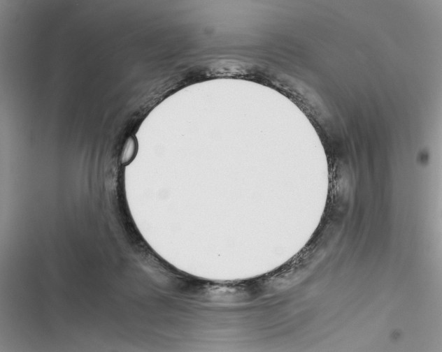 X0000116620315201001221345