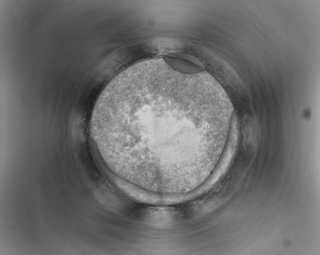 X0000116620316201001221345