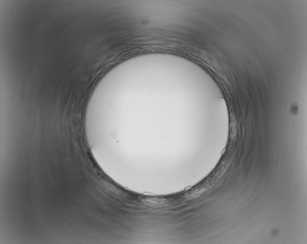 X0000116620317201001221345