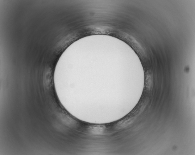 X0000116620318201001221345