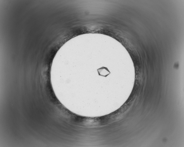 X0000116620319201001221345