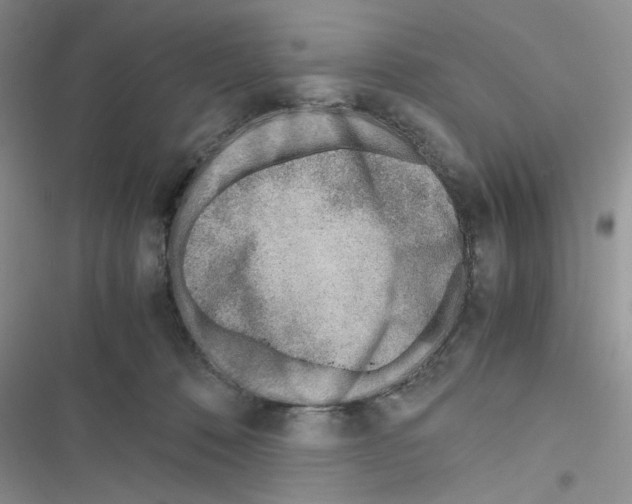 X0000116620320201001221345