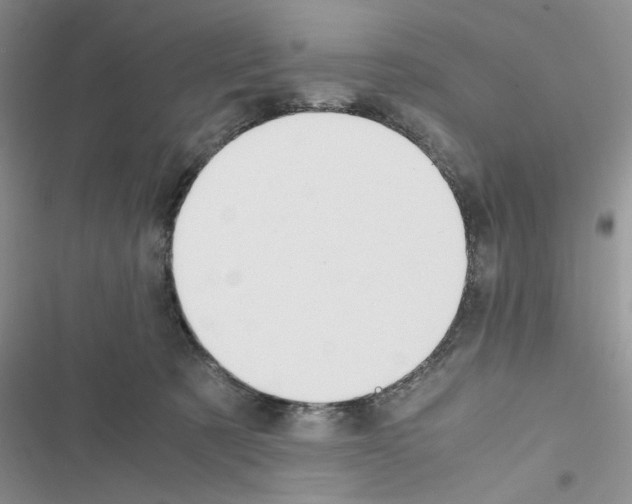 X0000116620321201001221345