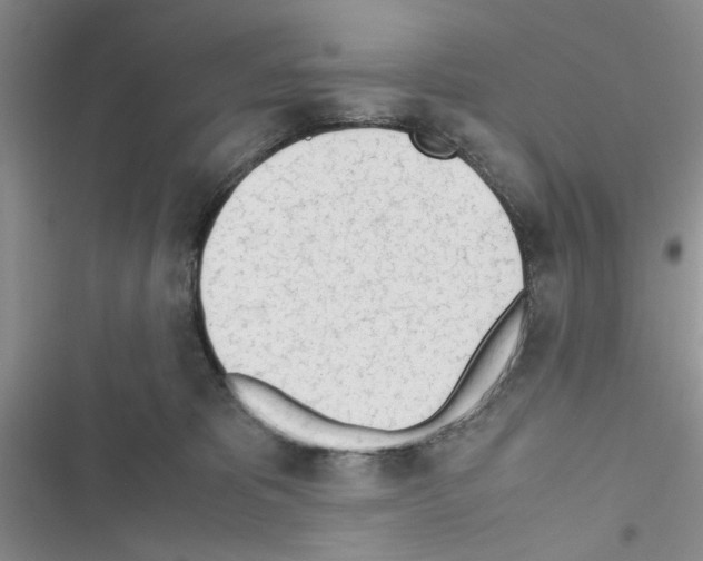 X0000116620325201001221345