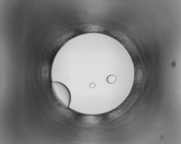X0000116620326201001221345