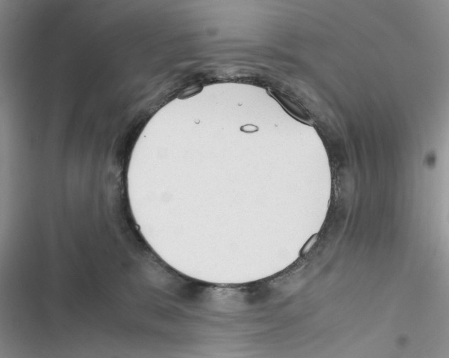 X0000116620327201001221345