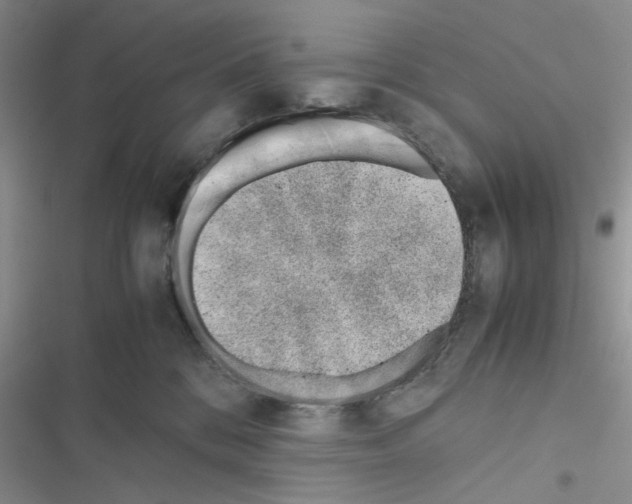 X0000116620328201001221345