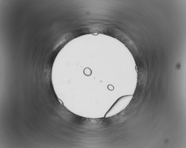 X0000116620329201001221345