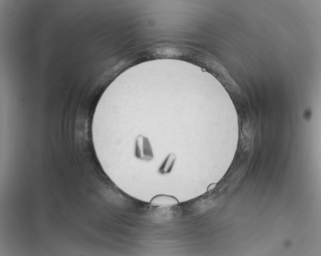 X0000116620330201001221345