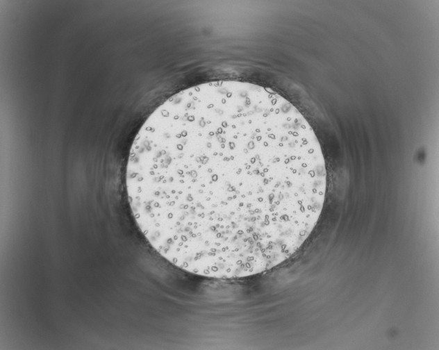 X0000116620331201001221345