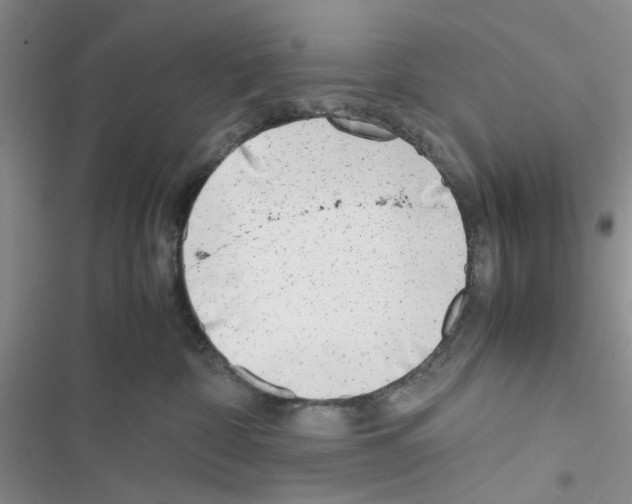 X0000116620332201001221345