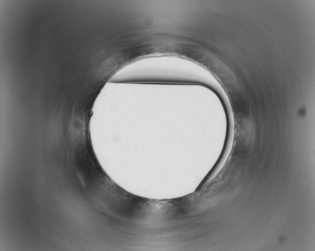 X0000116620333201001221345