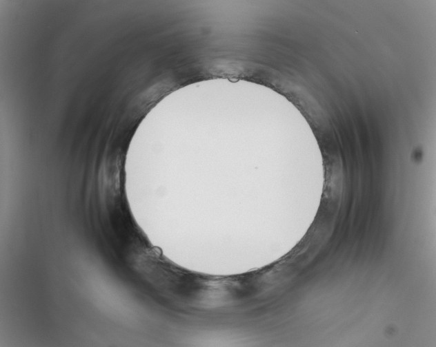 X0000116620334201001221345