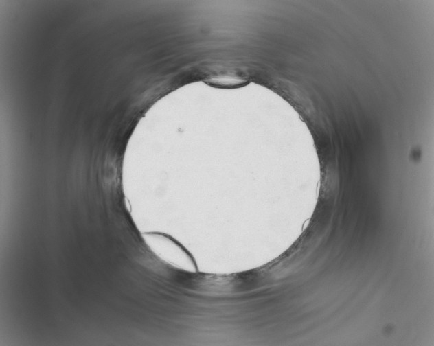 X0000116620335201001221345