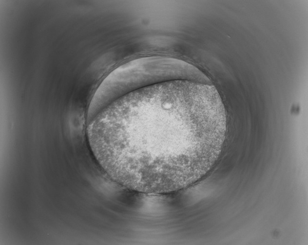 X0000116620336201001221345