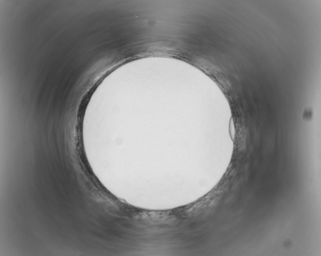 X0000116620338201001221344