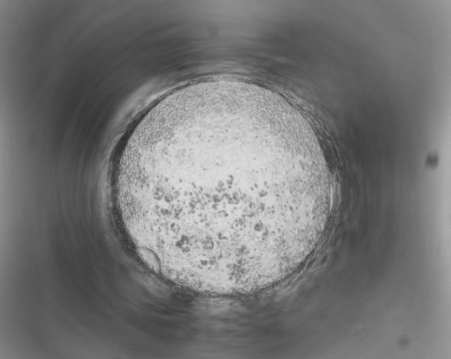 X0000116620339201001221344