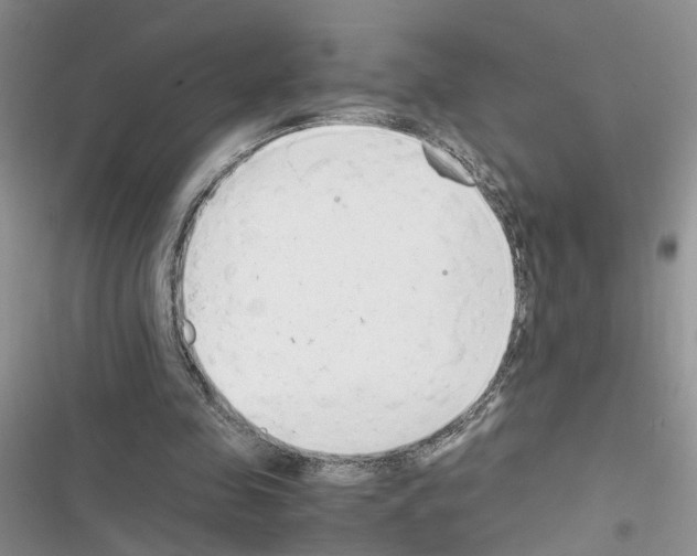 X0000116620341201001221344